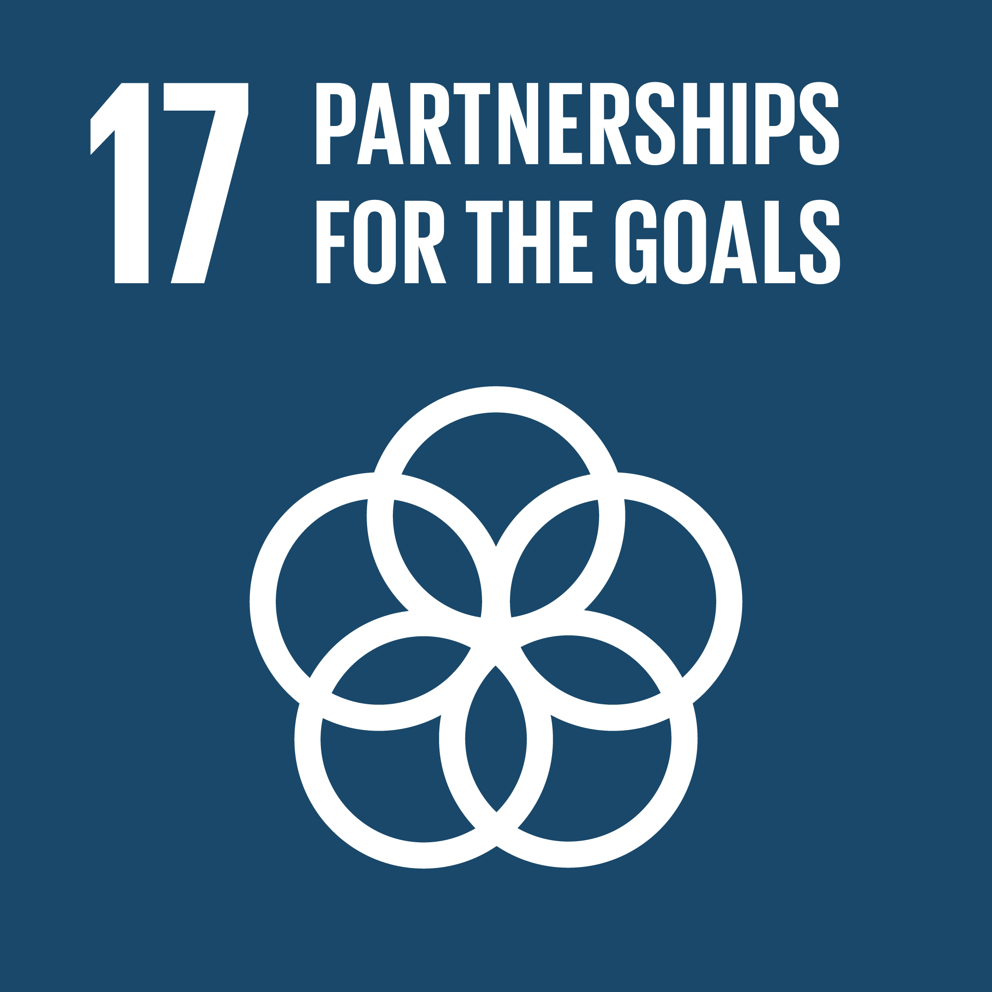 E_SDG goals_icons-individual-rgb-17